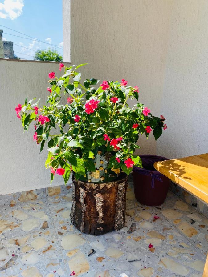 Guest House Victor Zhabeshi المظهر الخارجي الصورة